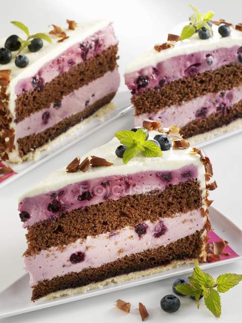 Gâteau aux myrtilles au chocolat tranché — Photo de stock
