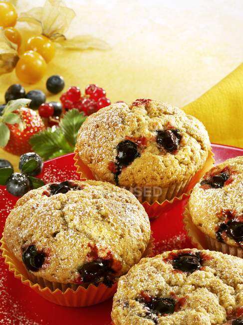 Four blueberry muffins — Stock Photo