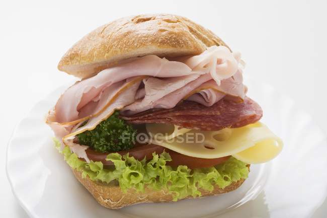 Sandwich de queso en el plato - foto de stock