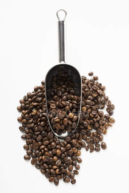 Grains de café avec cuillère — Photo de stock