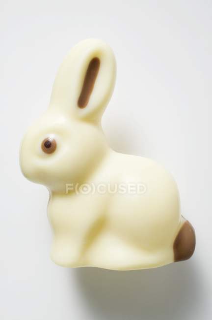 Coelho de Páscoa de chocolate branco — Fotografia de Stock