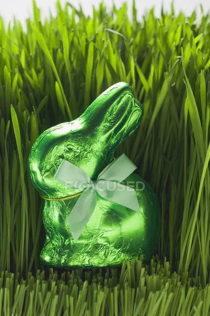 Coniglietto di Pasqua in erba — Foto stock