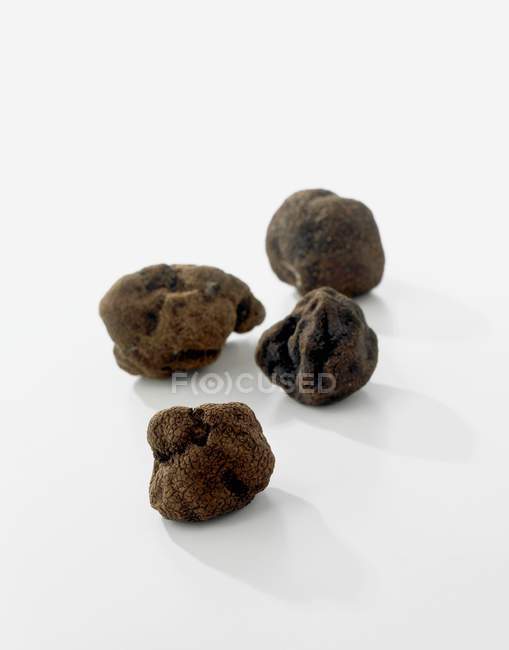 Quatre truffes, gros plan — Photo de stock