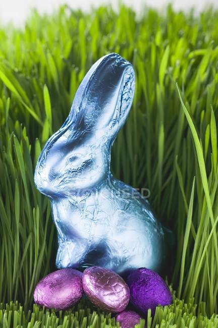 Easter Bunnyand eggs — Stock Photo