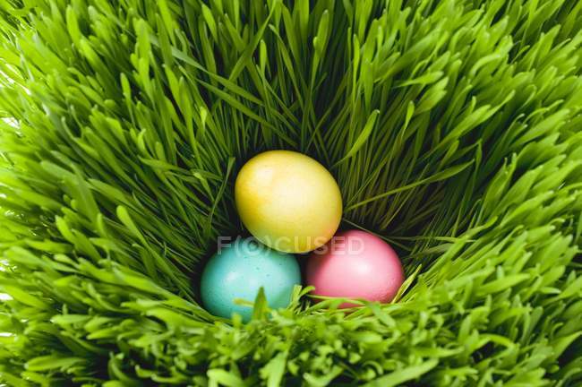 Huevos de Pascua en la hierba - foto de stock