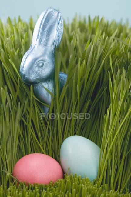 Lapin de Pâques dans l'herbe — Photo de stock