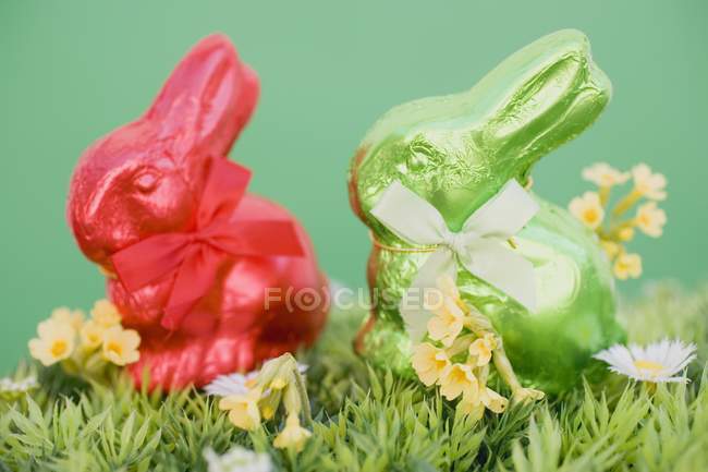 Coelhinhos da Páscoa vermelhos e verdes — Fotografia de Stock