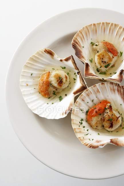 Top view of oven-baked seasoned scallops on valves and white plate — Stock Photo