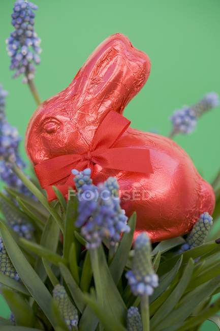 Conejo de Pascua rojo - foto de stock