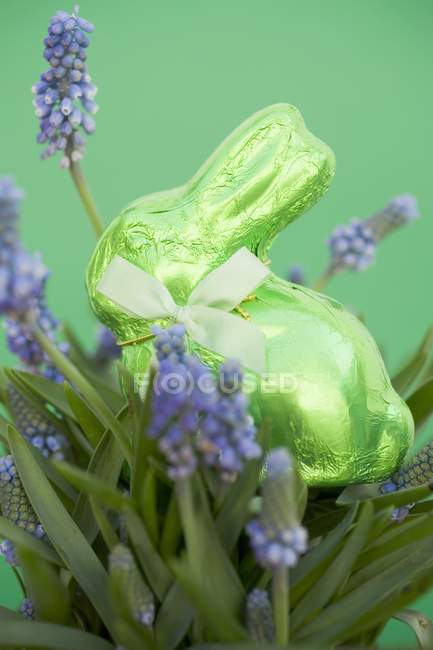 Зеленый пасхальный кролик — стоковое фото