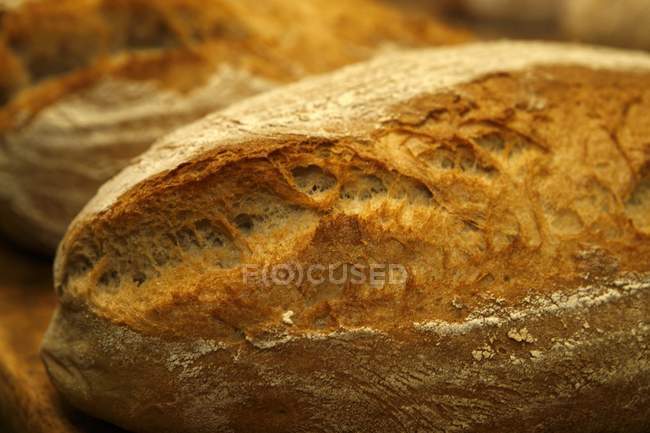 Fresh baked bread — Stock Photo