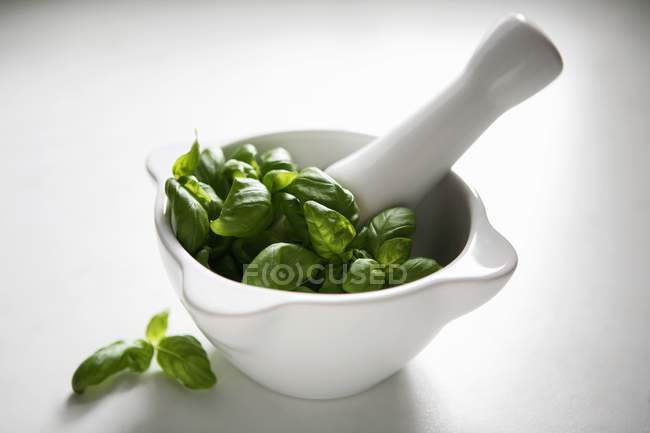 Fresh basil in mortar with pestle — Stock Photo