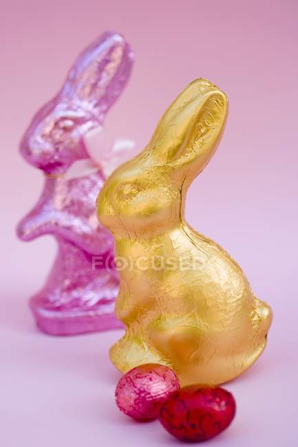 Deux lapins de Pâques — Photo de stock