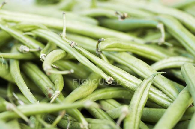 Haricots verts frais — Photo de stock