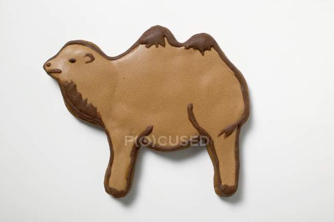 Biscotto di Natale a forma di cammello — Foto stock