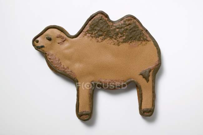 Christmas biscuit in shape of camel — Stock Photo