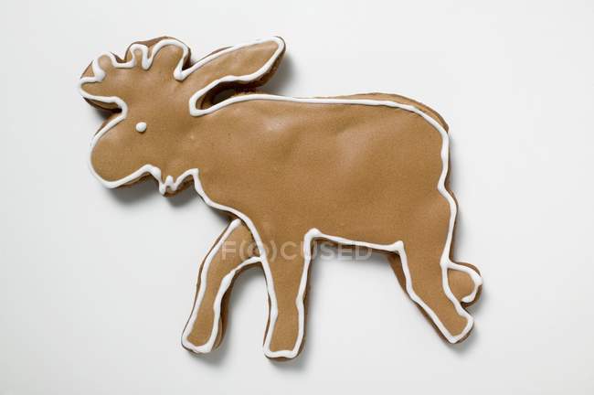 Gingerbread elk on white — Stock Photo