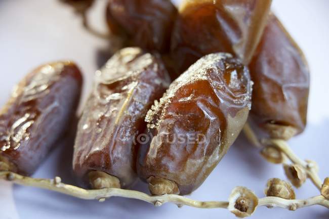 Dried dates on stalk — Stock Photo