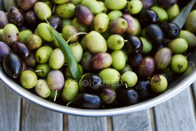 Зеленые и черные оливки в миске — стоковое фото