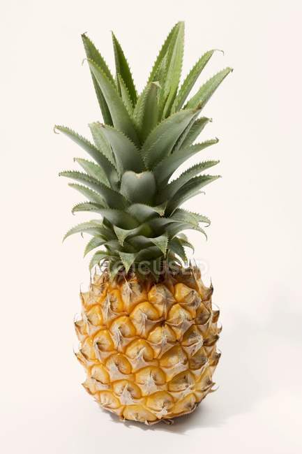Стиглі baby ананас — стокове фото