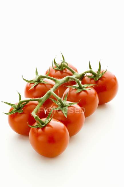 Красные помидоры на винограднике — стоковое фото