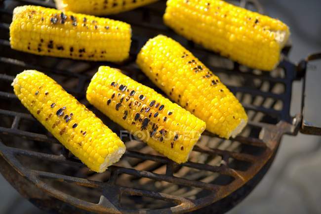 Maïs en épi sur barbecue — Photo de stock