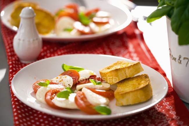 Tomates mozzarella et basilic — Photo de stock