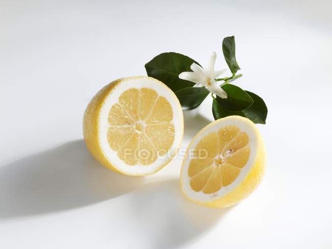 Citron coupé en deux avec des feuilles et des fleurs — Photo de stock