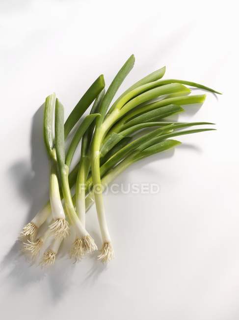 Spring onions, close-up — Stock Photo