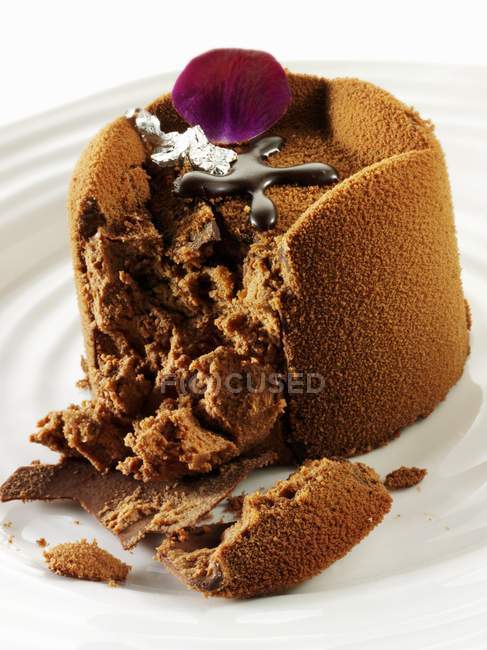 Chocolate cake sprinkled with cocoa powder — Stock Photo