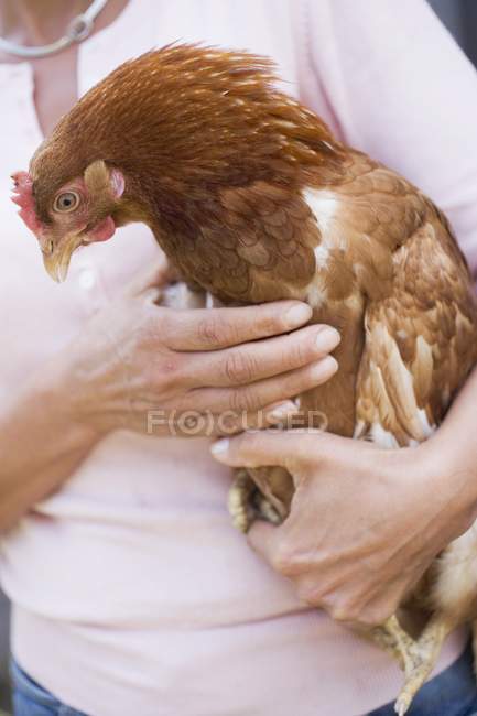 Vue rapprochée d'une femme tenant une poule vivante — Photo de stock