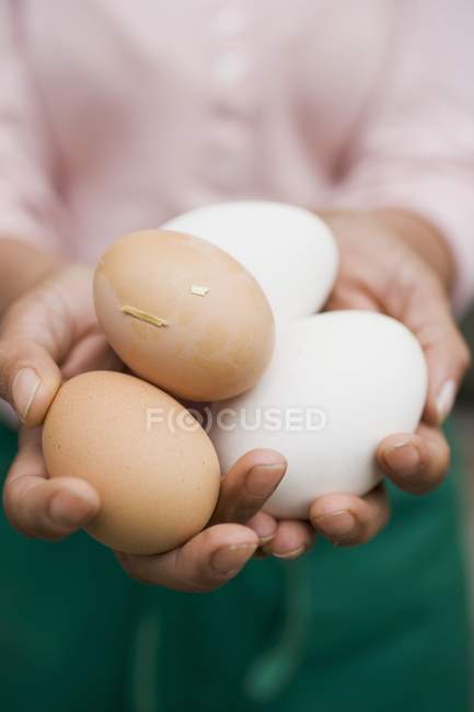 Hands holding eggs — Stock Photo