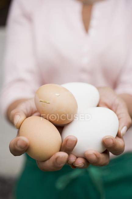 Hände, die Eier halten — Stockfoto