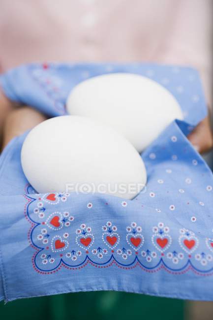 Руки, що тримають білі яйця — стокове фото