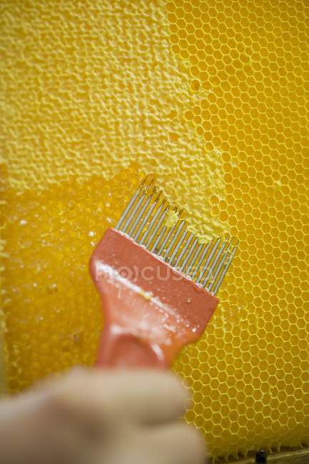 Uncapping a honeycomb with scratcher — Stock Photo