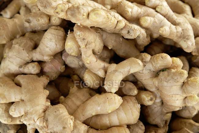 Fresh ginger roots — Stock Photo