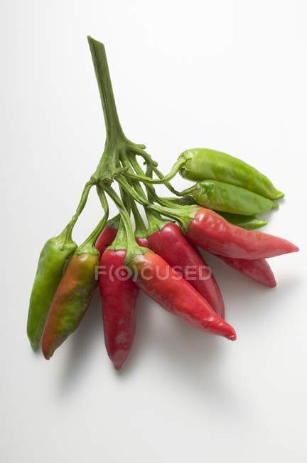 Mazzo di peperoncini rossi e verdi — Foto stock