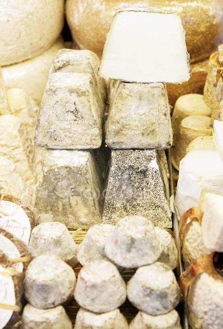 Assortiment de fromages crus — Photo de stock