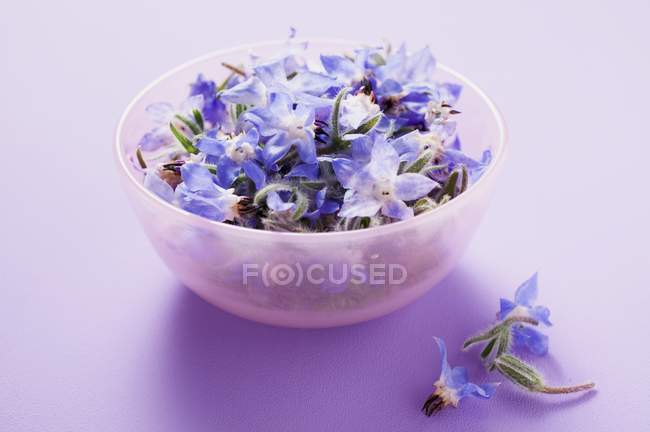 Vista close-up de flores Borage dentro e ao lado de tigela rosa — Fotografia de Stock