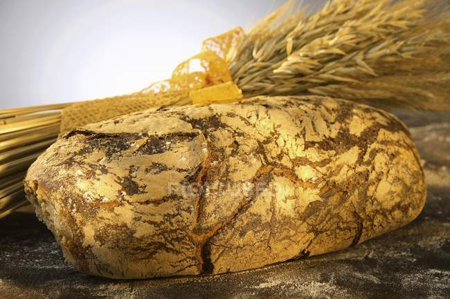 Mixed wheat and bread — Stock Photo