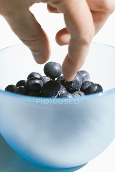 Male hand taking blueberries — Stock Photo