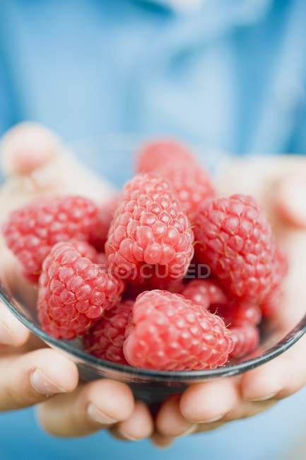 Child holding raspberries in bowl — Stock Photo