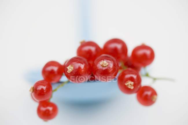 Ripe redcurrants on spoon — Stock Photo