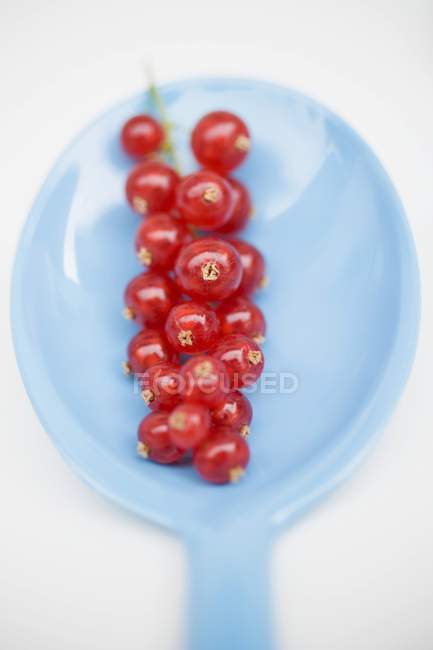 Спелые красные смородины на ложке — стоковое фото