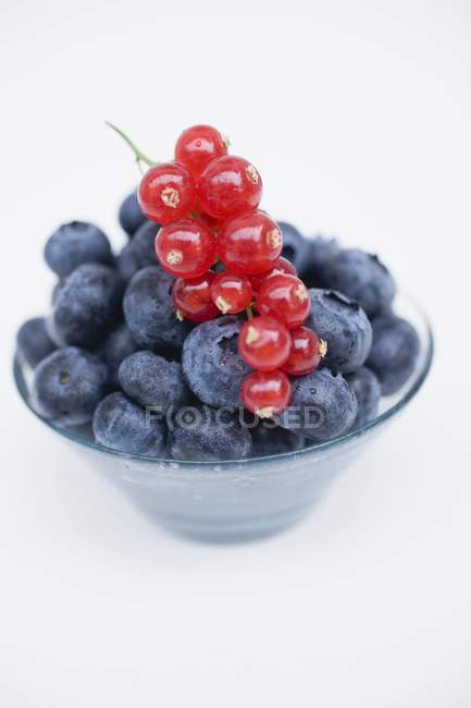 Bleuets frais mûrs et groseilles rouges — Photo de stock