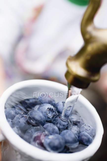 Washing blueberries in white bowl — Stock Photo