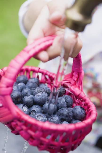 Human hand washing  blueberries in basket — Stock Photo