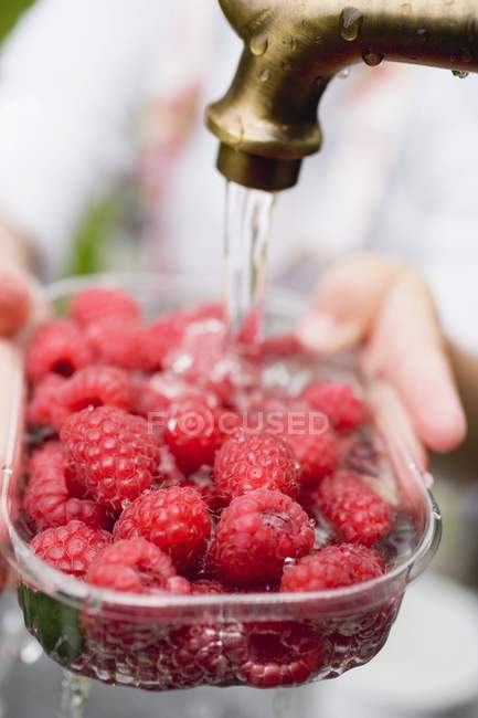 Human hands washing raspberries — Stock Photo