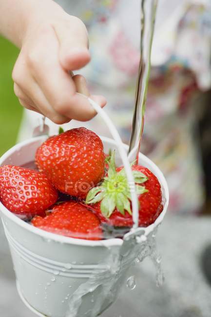 Human hand washing strawberries — Stock Photo