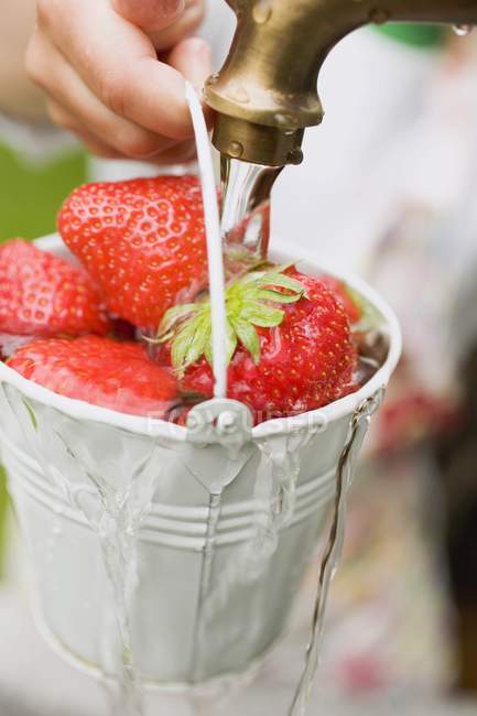 Human hand washing strawberries — Stock Photo